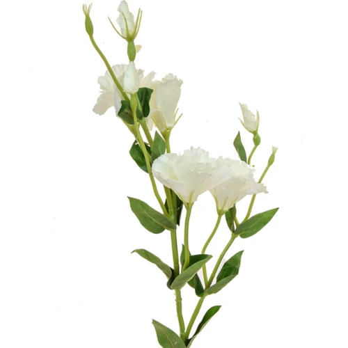 Artificial Eustoma Lisianthus Cream 80cm - L158