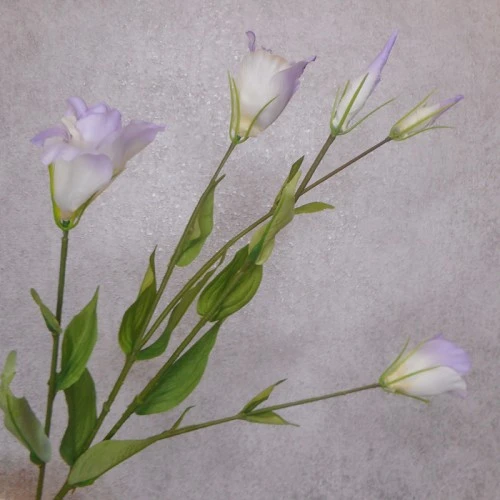 Artificial Lisianthus Lavender Purple 80cm - L017A E3