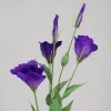 Artificial Lisianthus Purple 80cm - L017C L4
