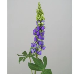 Silk Artificial Lupins Lilac 80cm - L087 H3