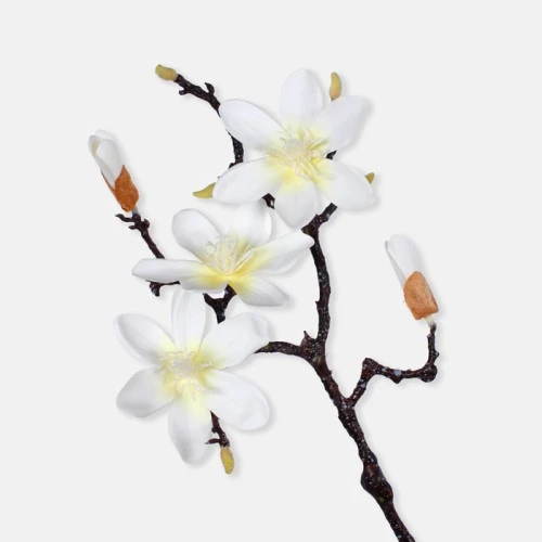 Artificial Magnolias Branch Cream 61cm - M095 S1