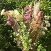 English Meadow Artificial Flowers Poppy Seed Heads Pink 53cm - P251 FF3