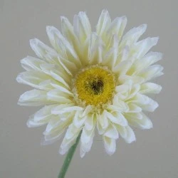 Silk Mini Gerbera Ivory 58cm - G062 H3