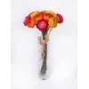 Mini Silk Ranunculus Posy Brights 25cm - R080 O1