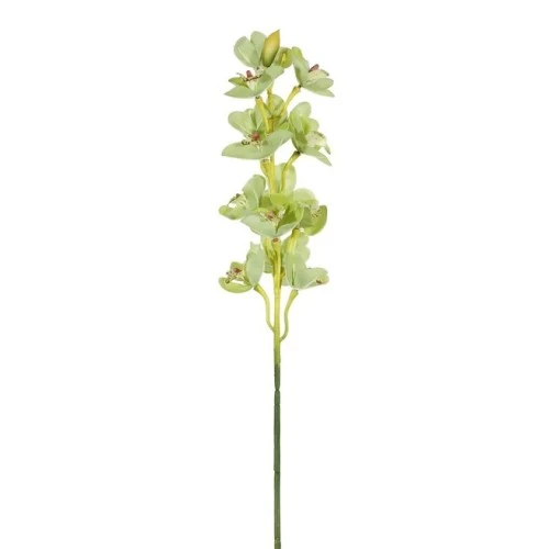 Artificial Cymbidium Orchid Green 76cm - O076 E1