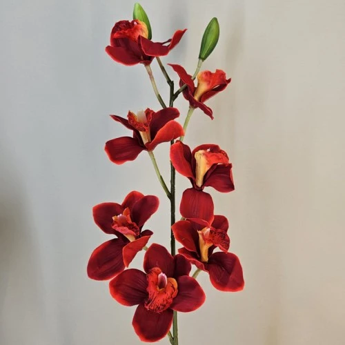 Artificial Cymbidium Orchid Red 81cm - O077 K3