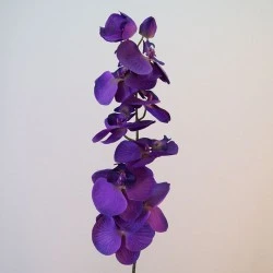 Artificial Phalaenopsis Orchids Purple Passion 92cm - O101 I4