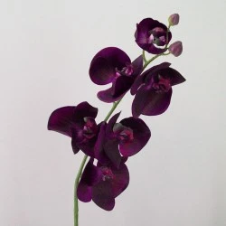 Real Touch Phalaenopsis Orchids Aubergine Purple 75cm - O085 J4