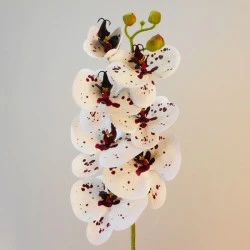 Artificial Phalaenopsis Orchid White with Burgundy Freckles 78cm - O140 E1