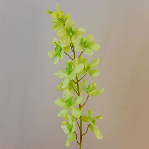Carnival Artificial Vanda Orchid Flowers Lime Green 72cm - O006 E1