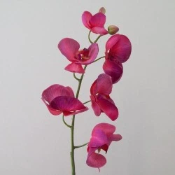 Real Touch Phalaenopsis Orchid Dark Pink 75cm - O082 K4