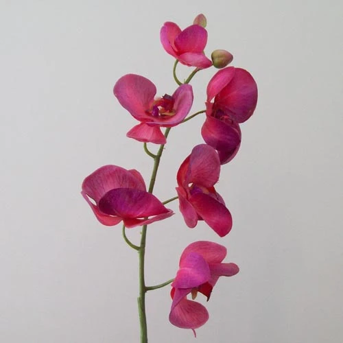Real Touch Phalaenopsis Orchid Dark Pink 75cm - O082 