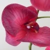 Real Touch Phalaenopsis Orchid Dark Pink 75cm - O082 