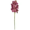 Real Touch Artificial Vanda Orchid Flowers Magenta Plum 53cm - O008 GG1