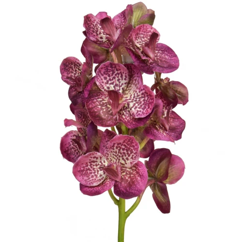 Real Touch Artificial Vanda Orchid Flowers Magenta Plum 53cm - O008 GG1