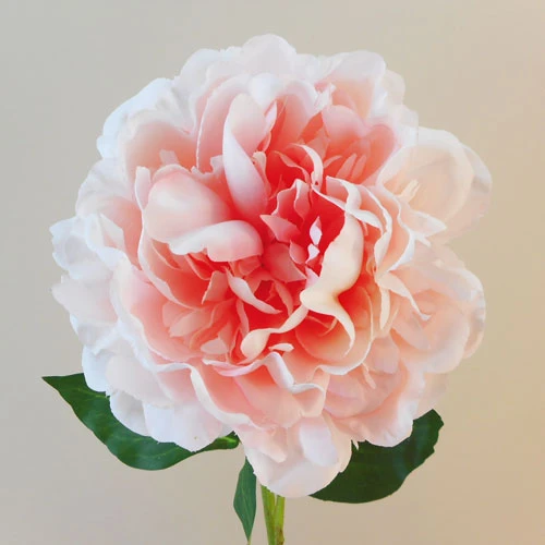 Luna Artificial Peony Coral Pink 56cm - P241 L3