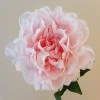 Luna Artificial Peony Pale Pink 56cm - P242 BX19