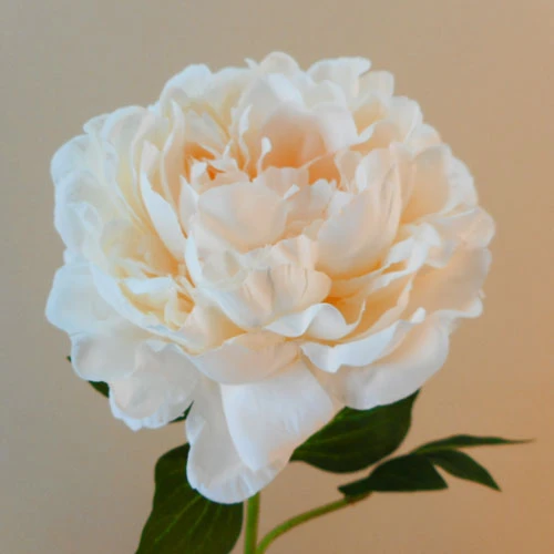 Luna Artificial Peony Peach 56cm - P240 L3