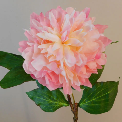 Large Artificial Peony Cream Pink 55cm - P203 S1