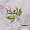Real Touch Peony Buds Pink 48cm - P039 L3