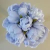 Artificial Peony Posy Hyacinth Blue 28cm - P101 BX5