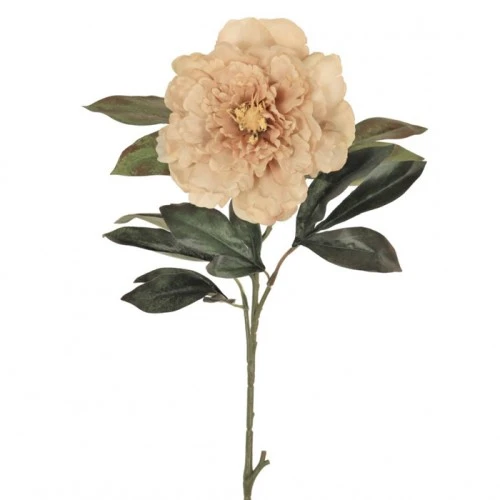 Artificial Peony Flowers Coffee Latte 77cm - P223 J4