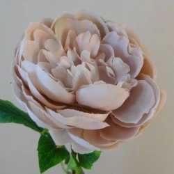 Artificial Peony Flowers Desert Taupe 56cm - P120 K4