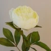 Peony Flowers Lemon 63cm - P117 L2