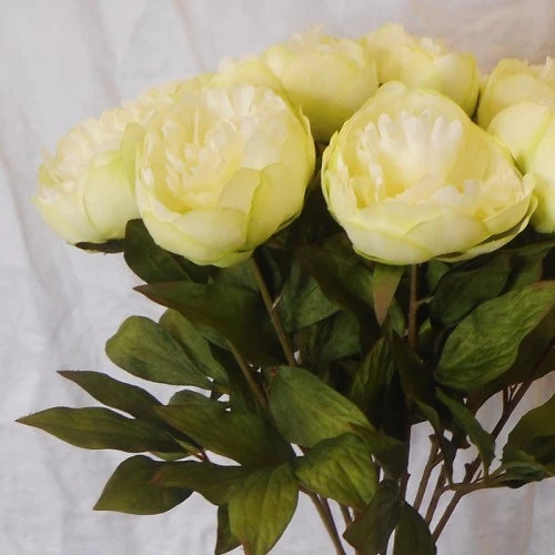 Peony Flowers Lemon 63cm - P117 L2