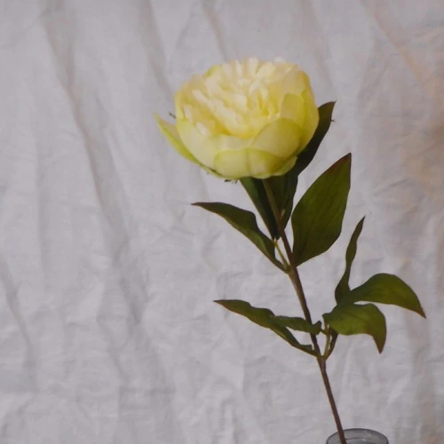 Peony Flowers Lemon 63cm - P117 L2