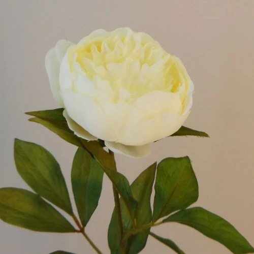 Peony Flowers Lemon 63cm - P117 L2