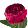 Artificial Peony Dark Pink 79cm  - P091 G1