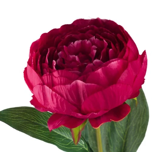 Artificial Peony Dark Pink 79cm  - P091 G1