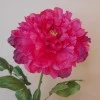 Artificial Tree Peony Flowers Hot Pink 70cm - P066 T2