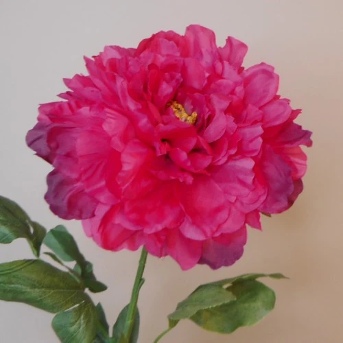 Artificial Tree Peony Flowers Hot Pink 70cm - P066 T2