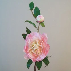 Artificial Tree Peony Flowers Pale Pink 59cm - P181 J4