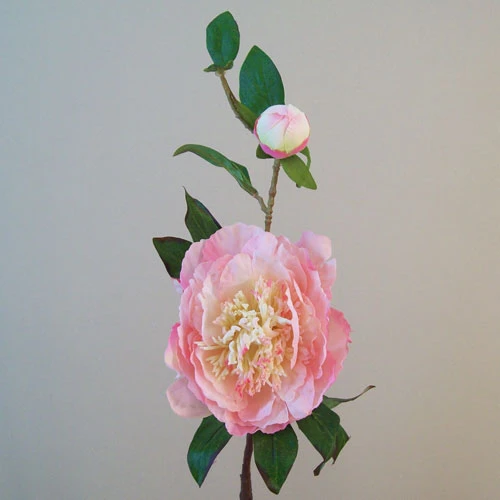 Artificial Tree Peony Flowers Pale Pink 59cm - P181 J4