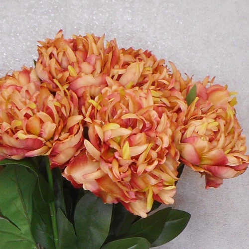 Silk Peony Flowers Burnt Orange 64cm - P065 R4