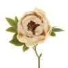 Antique Peony Vintage Oyster 48cm | Faux Dried Flowers - P041 K2