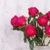 Artificial Peony Buds Large Magenta Pink 45cm - P151 R2
