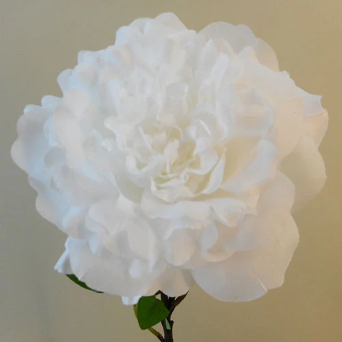 Artificial Peony Pure White 58cm - P047 BX6