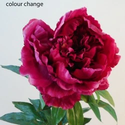 Real Touch King Peony Magenta 89cm - P079 M4 