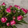 Real Touch Peony Buds Magenta 48cm - P020 L3