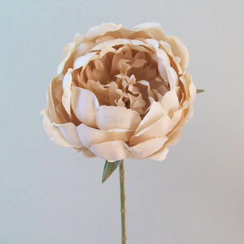 Romance Peony Flowers Nude 45cm - P220 P3