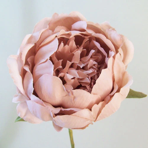 Romance Peony Flowers Pink 45cm - P219 L2
