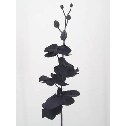Artificial Phalaenopsis Orchid Black 90cm - J004 I4