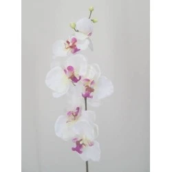 Artificial Phalaenopsis Orchids White and Pink 75cm - J003 K4
