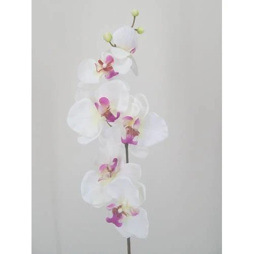 Artificial Phalaenopsis Orchids White and Pink 75cm - J003 K4