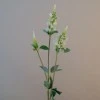 Artificial Physostegia Cream 62cm - P171 