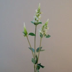 Artificial Physostegia Cream 62cm - P171 